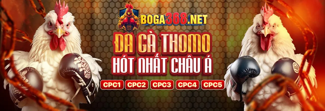 Đá Gà Trực Tuyến OK88 Nổ Hũ